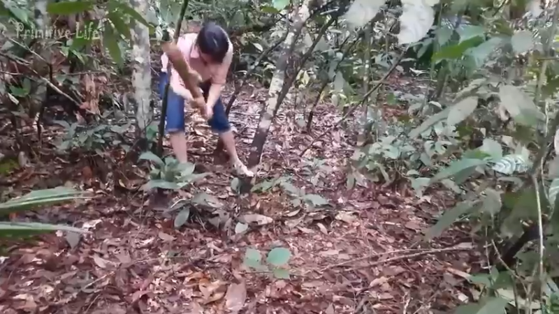 偏远边塞 云南妹子丛林之家(2)更新day7