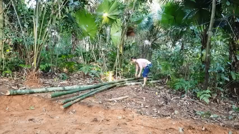 偏远边塞 云南妹子丛林之家(6)更新day5