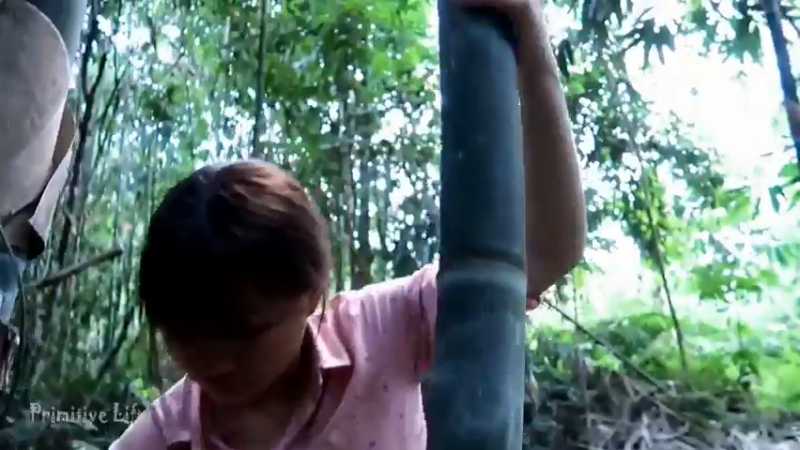 偏远边塞 云南妹子丛林之家(5)更新day12