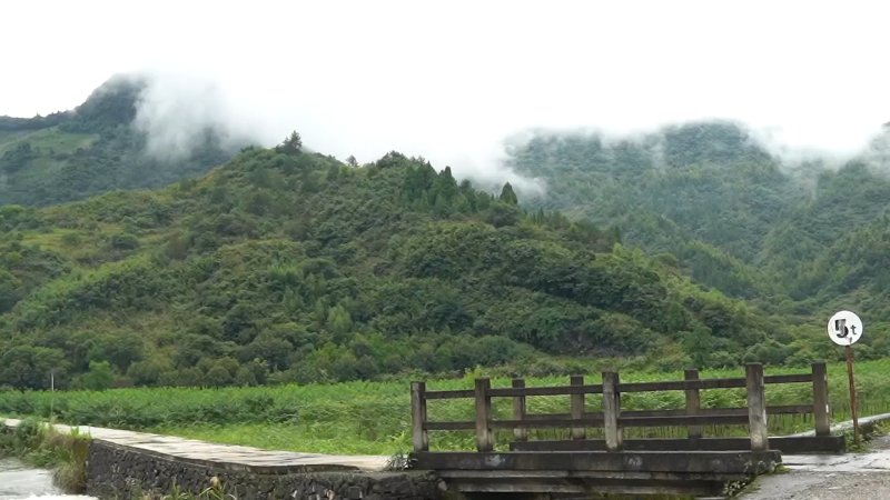 【美食】野食小哥的精彩时刻 20210921 12点场
