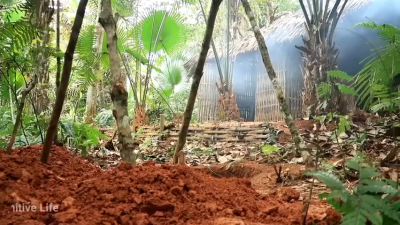 偏远边塞 云南妹子丛林之家(5)更新day15