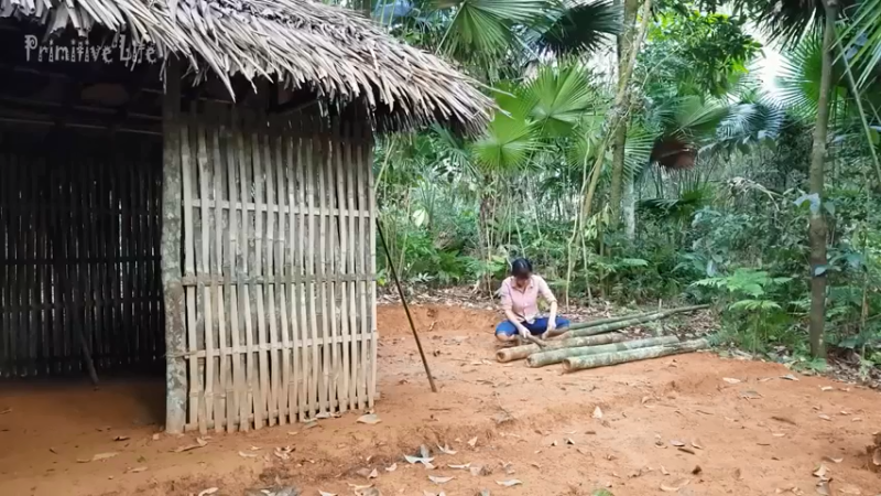 偏远边塞 云南妹子丛林之家(13)更新day7