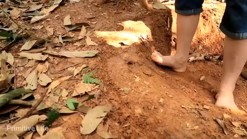 偏远边塞 云南妹子丛林之家(3)更新day15