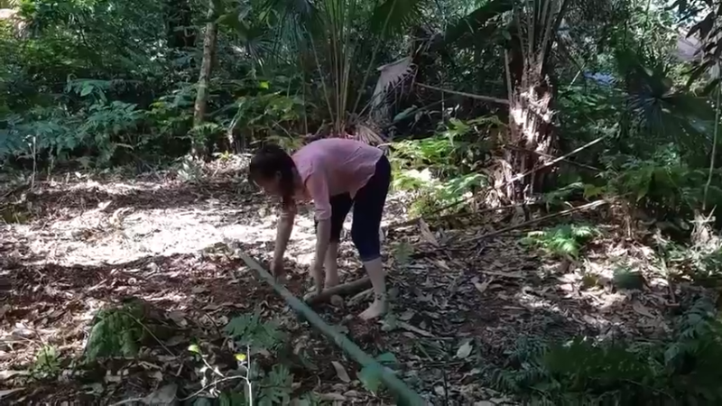 偏远边塞 云南妹子丛林之家(6)更新day2