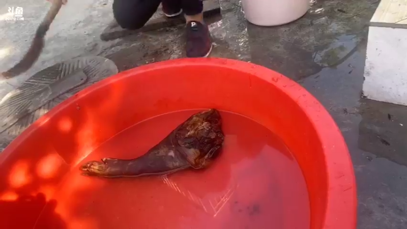 【2021-09-21 16点场】魅力生活i：大家中秋快乐 468241