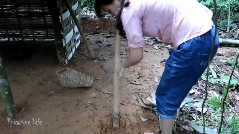 偏远边塞 云南妹子丛林之家(2)更新day10