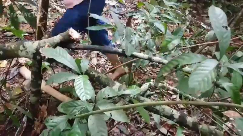 偏远边塞 云南妹子丛林之家(3)更新day7