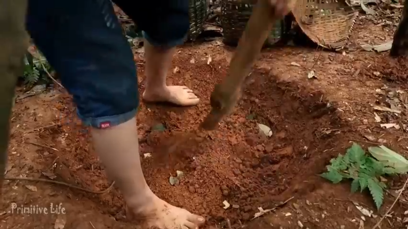 偏远边塞 云南妹子丛林之家(17)更新day13