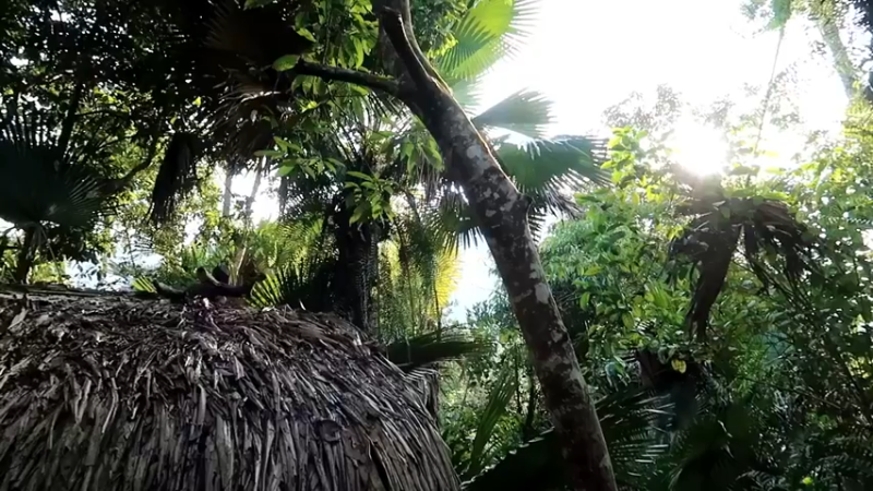 偏远边塞 云南妹子丛林之家(1)更新day18