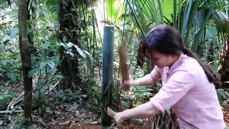 偏远边塞 云南妹子丛林之家(9)更新day12