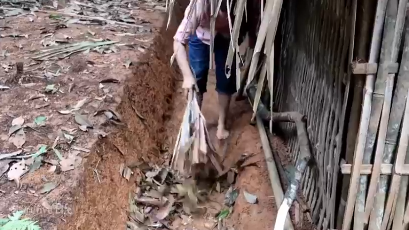 偏远边塞 云南妹子丛林之家(4)更新day10