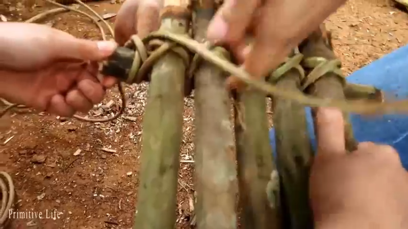 偏远边塞 云南妹子丛林之家(8)更新day18