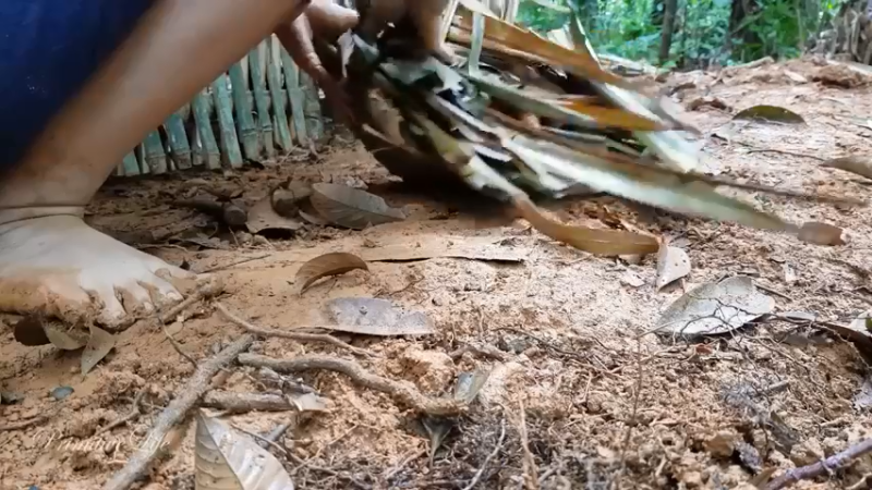 偏远边塞 云南妹子丛林之家(30)更新day5