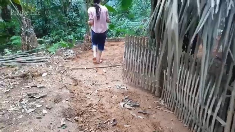 偏远边塞 云南妹子丛林之家(8)更新day6