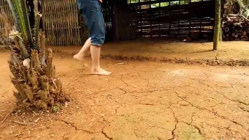 偏远边塞 云南妹子丛林之家(5)更新day19