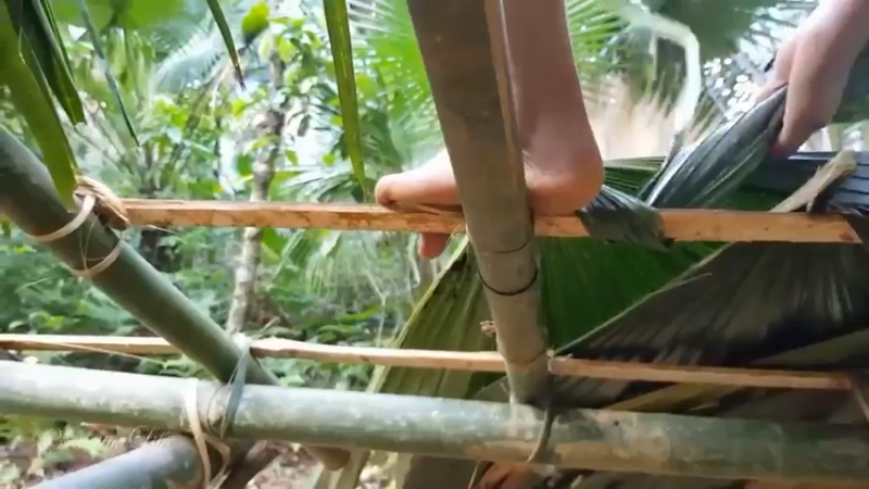 偏远边塞 云南妹子丛林之家(19)更新day5