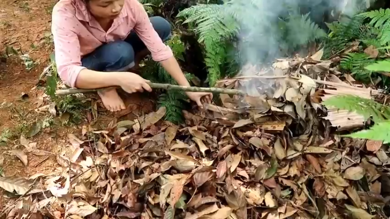 偏远边塞 云南妹子丛林之家(5)更新day17