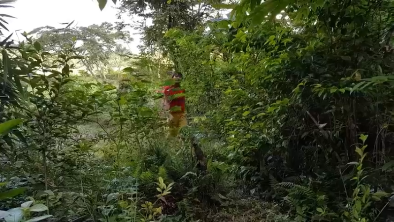 偏远边塞 云南妹子丛林之家(1)更新第一集