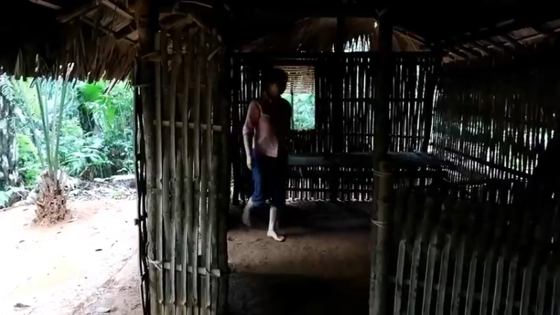 偏远边塞 云南妹子丛林之家(4)更新day11