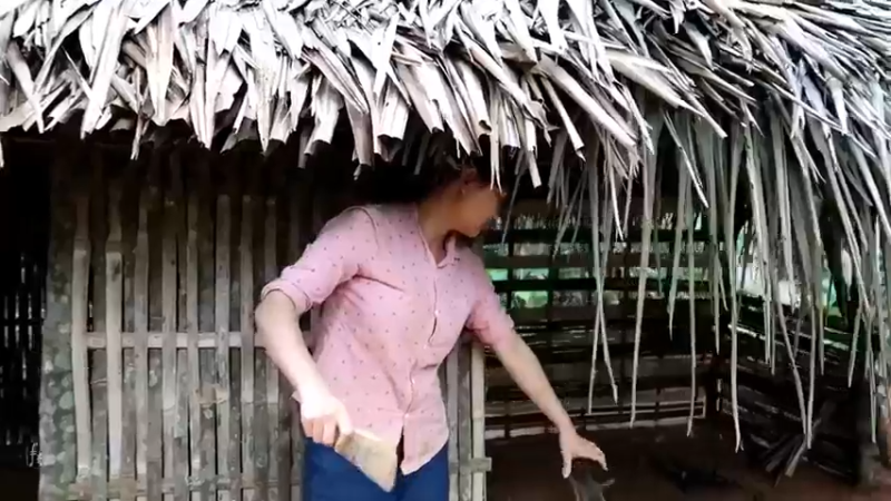 偏远边塞 云南妹子丛林之家(5)更新day10