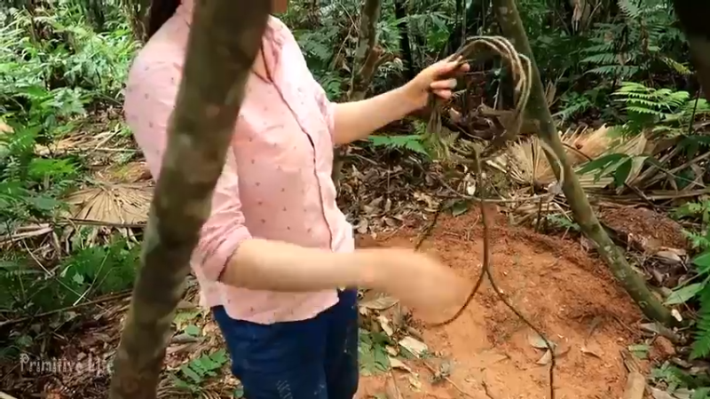 偏远边塞 云南妹子丛林之家(14)更新day13
