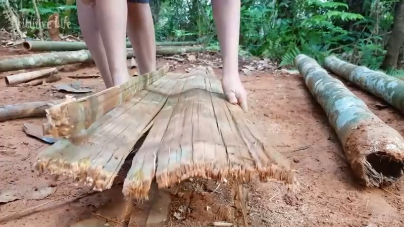 偏远边塞 云南妹子丛林之家(14)更新day7