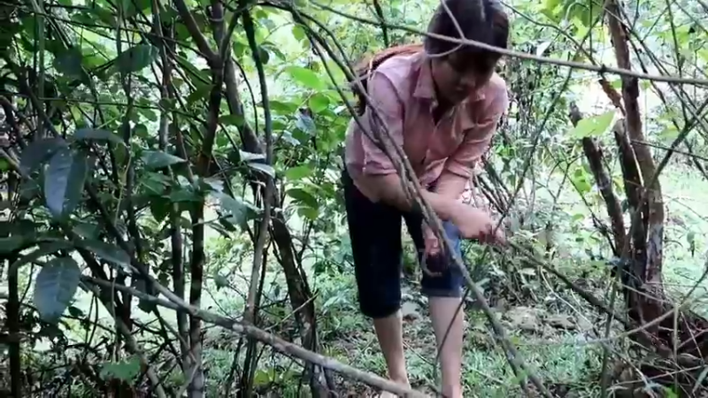 偏远边塞 云南妹子丛林之家(2)更新day11