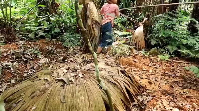 偏远边塞 云南妹子丛林之家(8)更新day17
