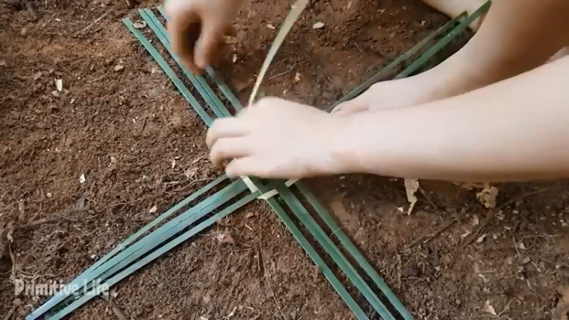 偏远边塞 云南妹子丛林之家(10)更新day2