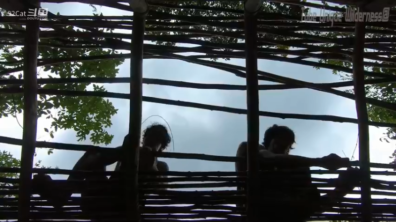 A."原始人"带你荒野求生-搭建房子-PA18