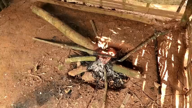 偏远边塞 云南妹子丛林之家(1)更新day15