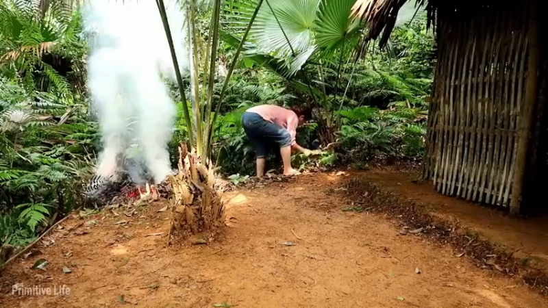 偏远边塞 云南妹子丛林之家(6)更新day17