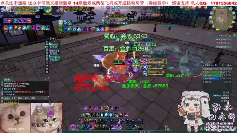 【2021-09-20 20点场】勤奋的赤鳞：【赤鳞】一起看药宗技能！