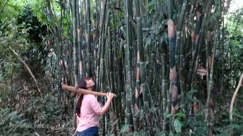偏远边塞 云南妹子丛林之家(4)更新day12