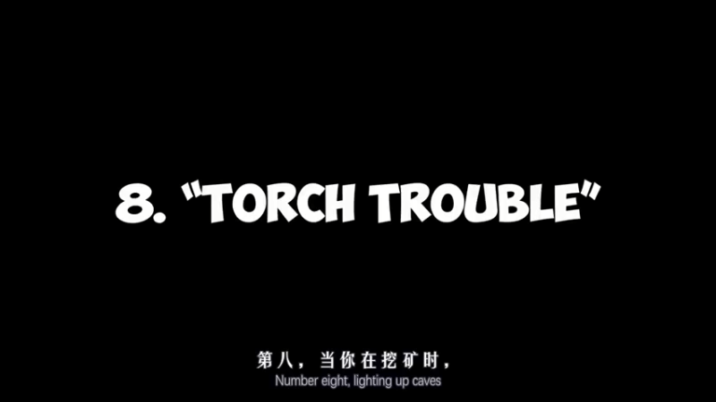 我的世界：30个你可能一直做错的事情 什么，这！【听译字幕】4