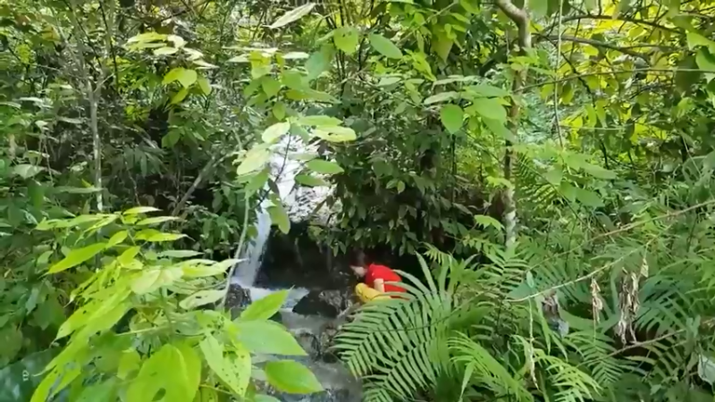 偏远边塞 云南妹子丛林之家(3)更新第一集