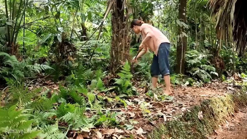 偏远边塞 云南妹子丛林之家(7)更新day17