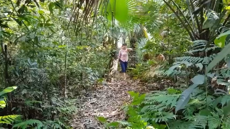 偏远边塞 云南妹子丛林之家(1)更新day5