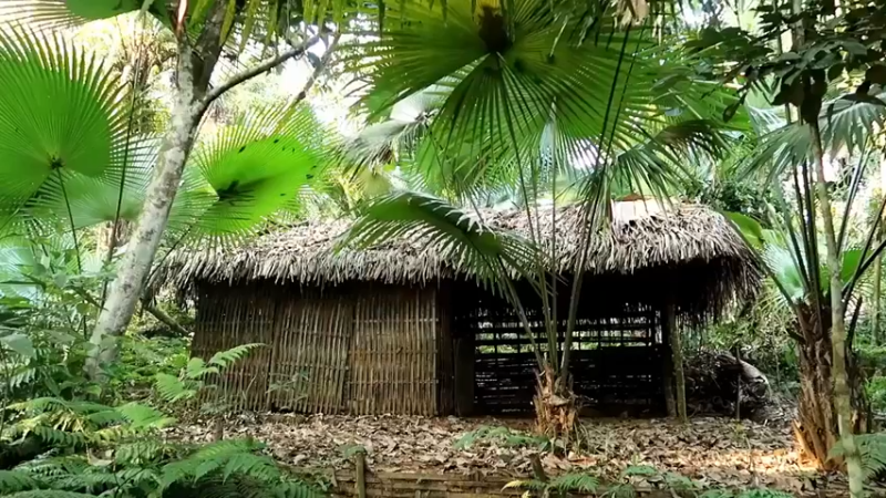 偏远边塞 云南妹子丛林之家(1)更新day17