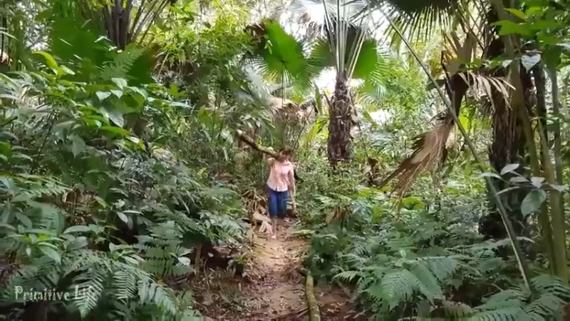 偏远边塞 云南妹子丛林之家(4)更新day9