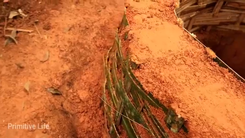 偏远边塞 云南妹子丛林之家(13)更新day16