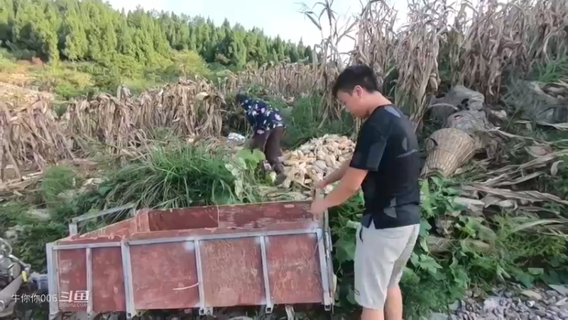帮邻居伯娘拉包谷，伯娘硬塞两包烟给我，媳妇说抵油钱6