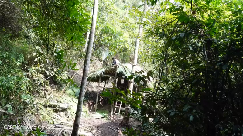 【记录农村生活】云淡风轻(day)(67)搭建厨房 持续更新 喜欢点个关注吧
