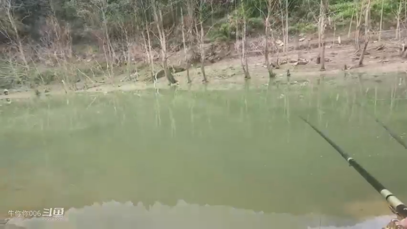 我去钓鱼，谷麦钓直接连竿，媳妇说下次和我一起去2