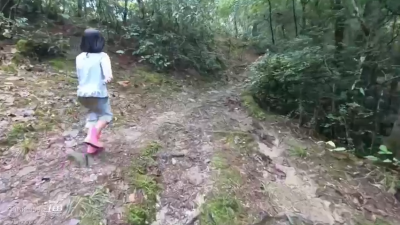 媳妇提个馊点子要去捡菌，大老远的白跑一趟，不过宝宝玩得开心8