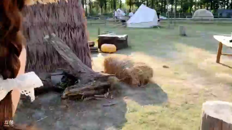 【2021-09-22 16点场】骆歆冲冲冲：骆歆：郊外喂蚊子