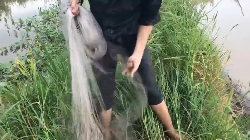 day10干塘了，嫂子来撒一把，优秀！好多！真鱼水之乡！太多了