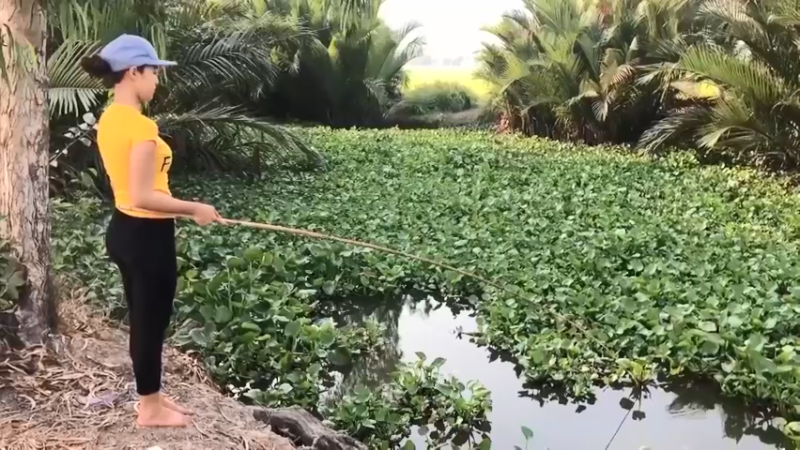 天天吃鱼！9回乡下，看到嫂子拿奇怪的东西钓鱼，居然拿鲍鱼和牛肉钓鱼，败家，害我天天吃鱼！