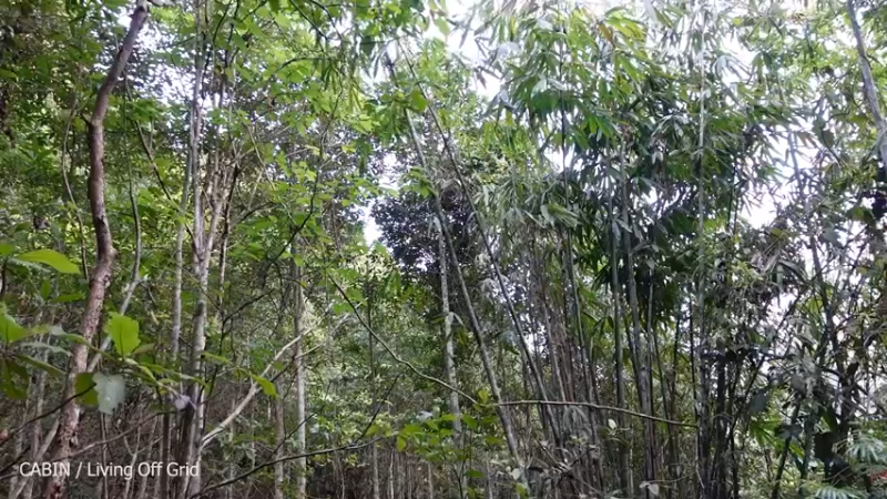 【记录农村生活】山雨欲来(day)(135)在新厨房制作美食 有喜欢的吗 持续更新