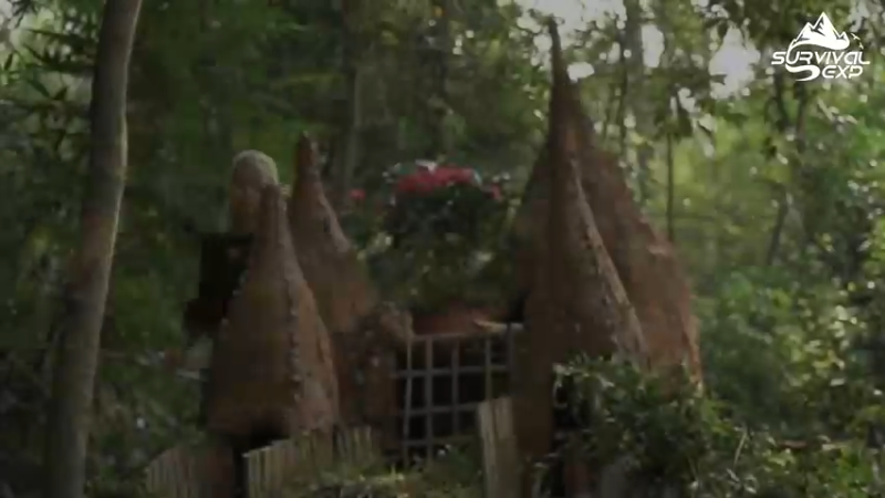 (1)在离家的日子在树上制作一个休闲吊椅-欣赏乡野美景